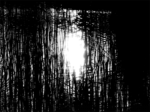 Return of the light - photo by Thorsten Quaeschning